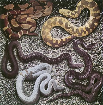 HENRI CUECO, "Boas et pythons", 1993, acrylique sur toile, 200 x 200 cm